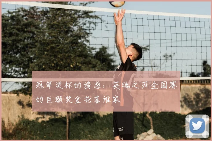 冠军奖杯的诱惑，英魂之刃全国赛的巨额奖金花落谁家
