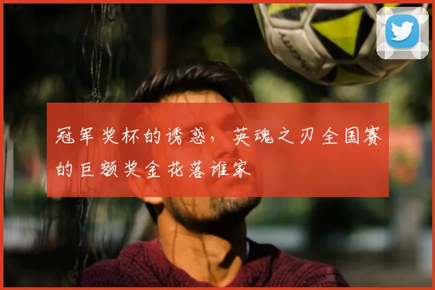 冠军奖杯的诱惑，英魂之刃全国赛的巨额奖金花落谁家